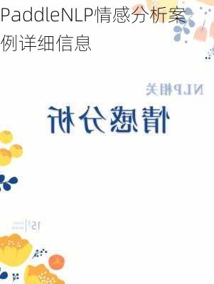 PaddleNLP情感分析案例详细信息