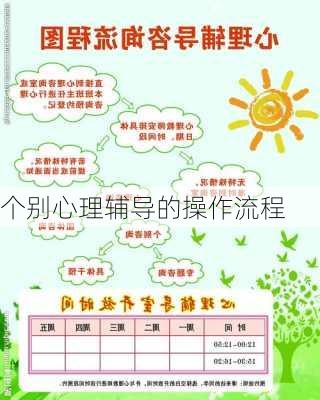 个别心理辅导的操作流程