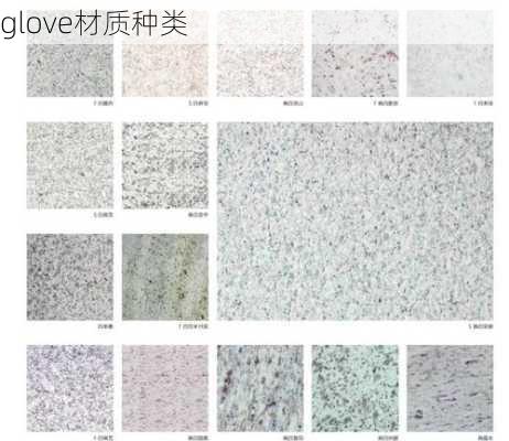 glove材质种类