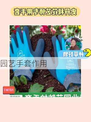园艺手套作用