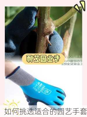 如何挑选适合的园艺手套
