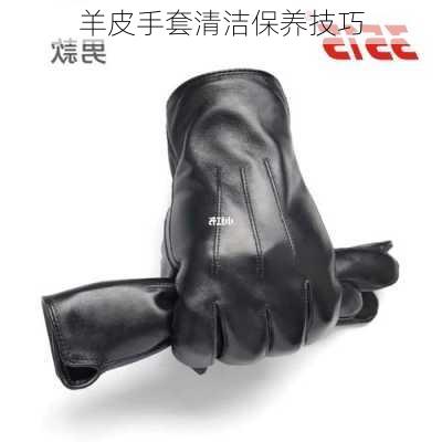 羊皮手套清洁保养技巧