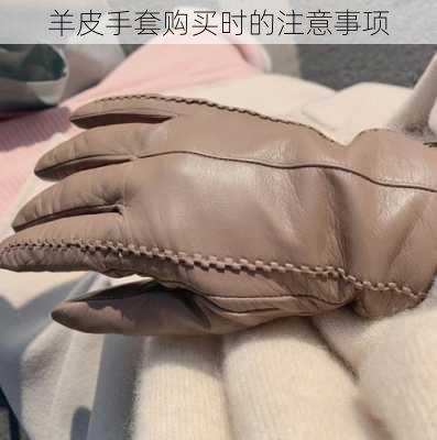 羊皮手套购买时的注意事项