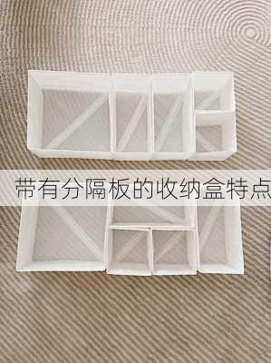 带有分隔板的收纳盒特点