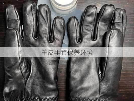 羊皮手套保养环境