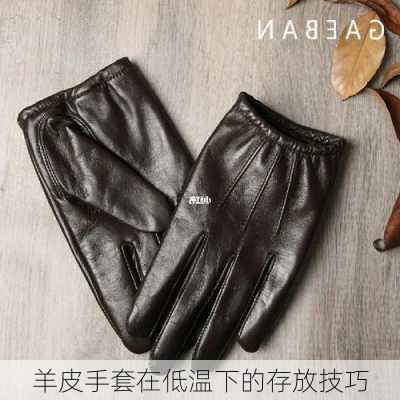 羊皮手套在低温下的存放技巧
