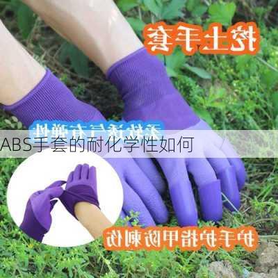 ABS手套的耐化学性如何