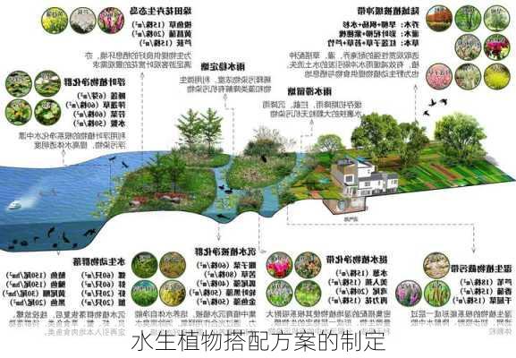 水生植物搭配方案的制定