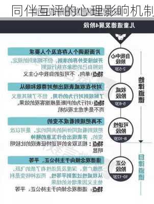 同伴互评的心理影响机制