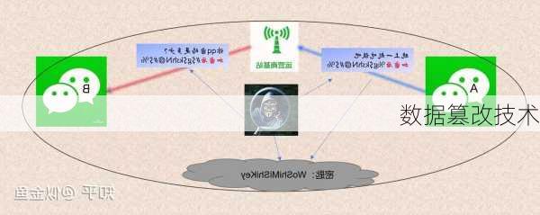 数据篡改技术