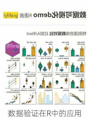 数据验证在R中的应用