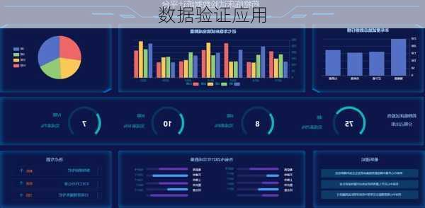 数据验证应用