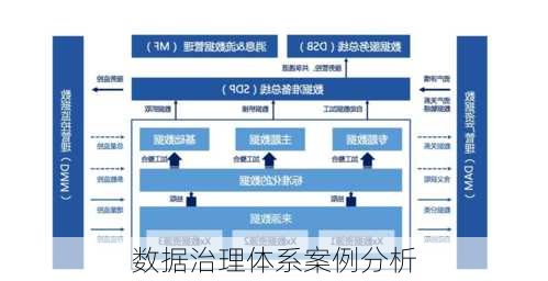 数据治理体系案例分析