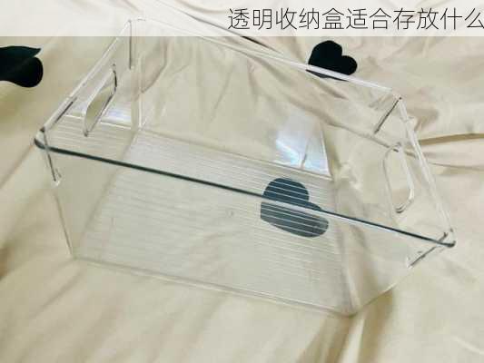 透明收纳盒适合存放什么