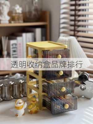 透明收纳盒品牌排行