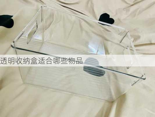 透明收纳盒适合哪些物品