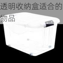 透明收纳盒适合的物品