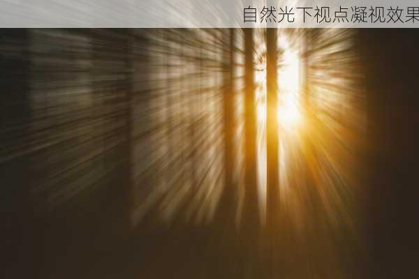 自然光下视点凝视效果