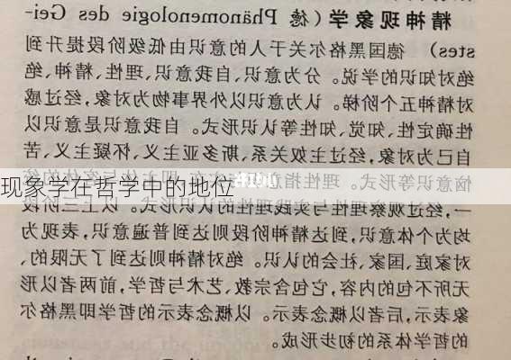 现象学在哲学中的地位