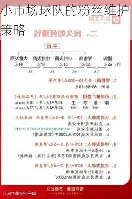 小市场球队的粉丝维护策略