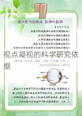 视点凝视的科学研究依据
