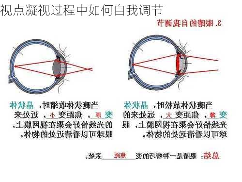 视点凝视过程中如何自我调节