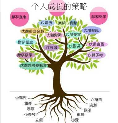 个人成长的策略