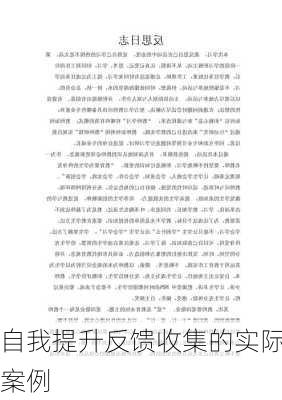 自我提升反馈收集的实际案例