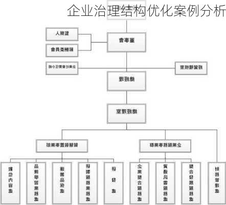 企业治理结构优化案例分析