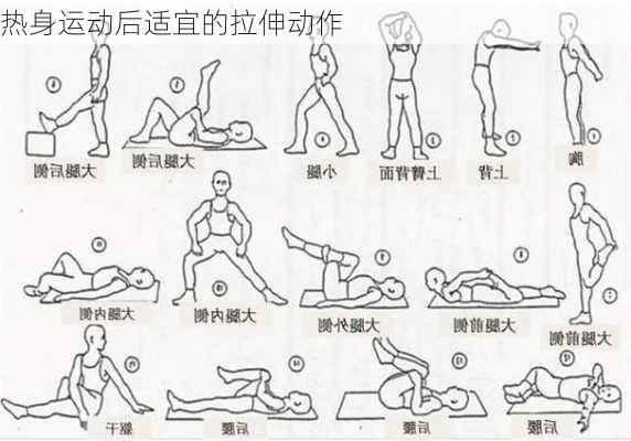 热身运动后适宜的拉伸动作