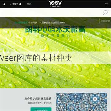 Veer图库的素材种类