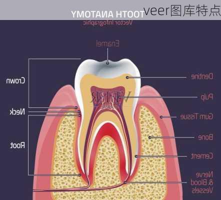 veer图库特点