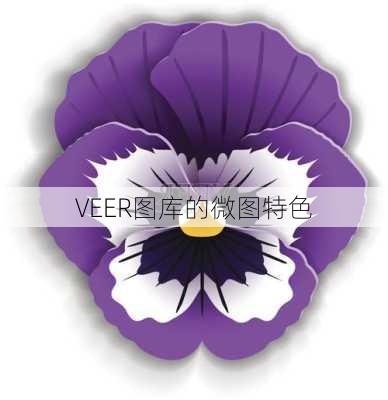 VEER图库的微图特色