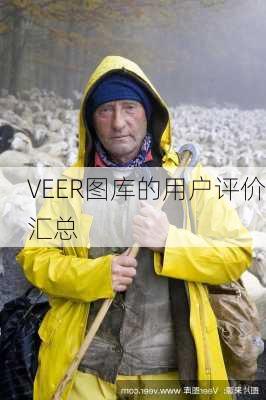 VEER图库的用户评价汇总