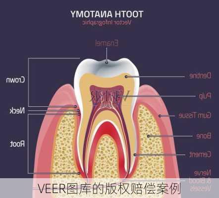 VEER图库的版权赔偿案例