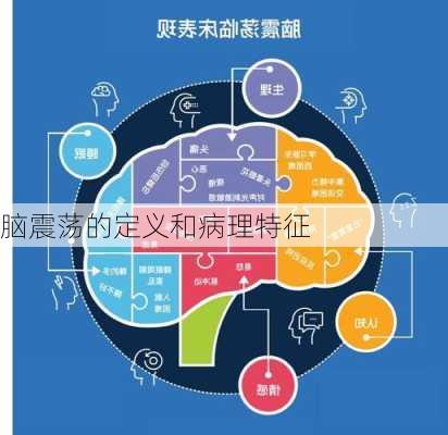 脑震荡的定义和病理特征