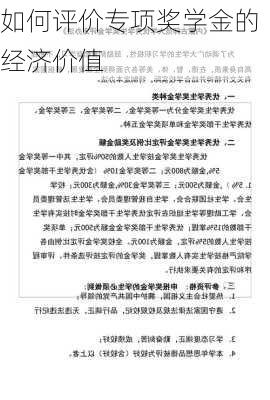 如何评价专项奖学金的经济价值