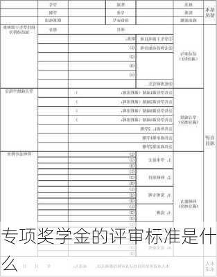 专项奖学金的评审标准是什么