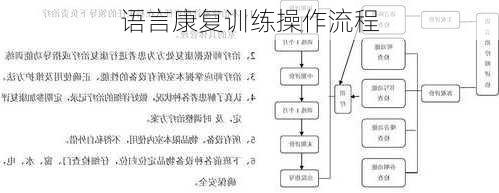 语言康复训练操作流程