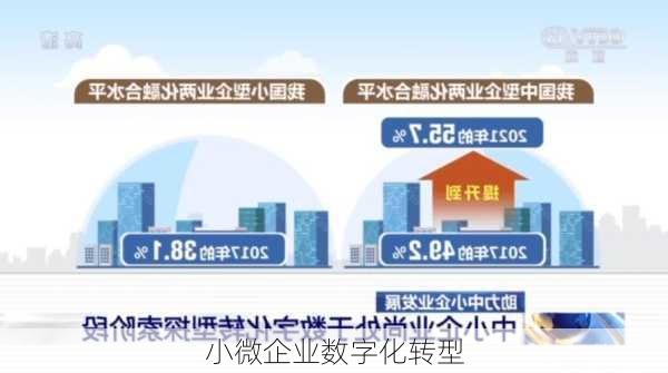 小微企业数字化转型