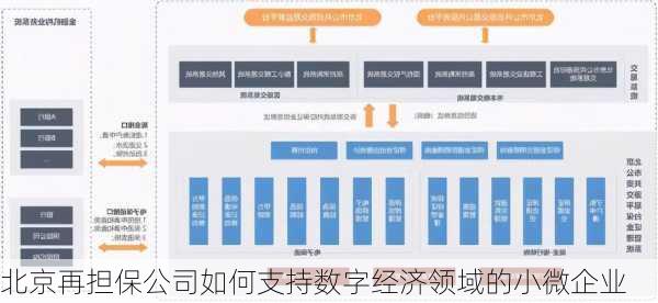 北京再担保公司如何支持数字经济领域的小微企业