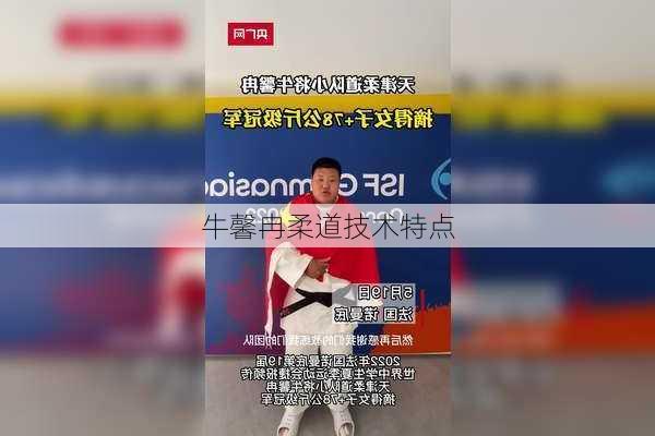牛馨冉柔道技术特点