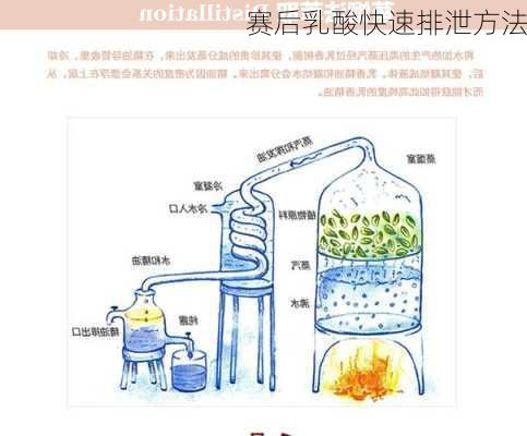 赛后乳酸快速排泄方法