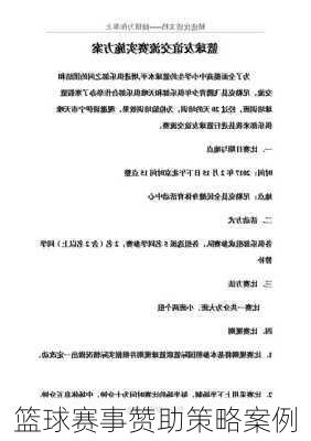 篮球赛事赞助策略案例
