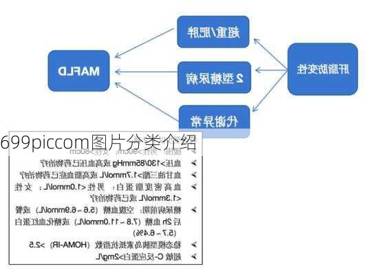 699piccom图片分类介绍