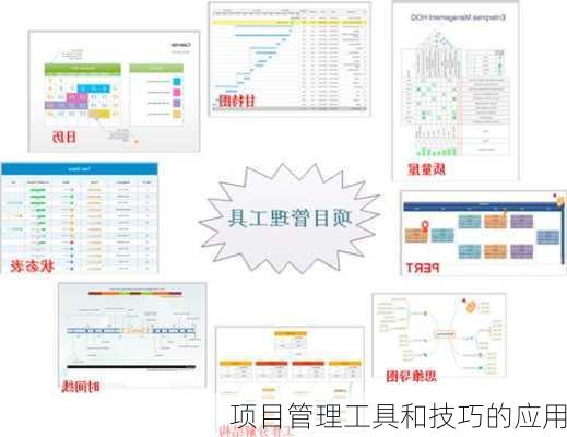 项目管理工具和技巧的应用