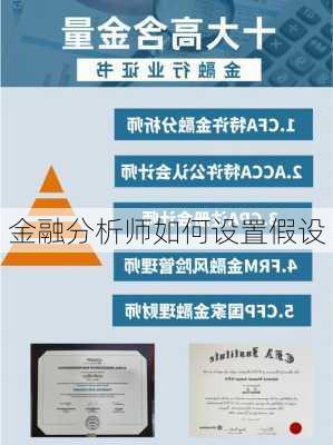 金融分析师如何设置假设