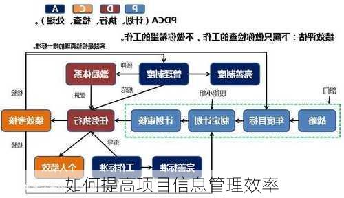 如何提高项目信息管理效率