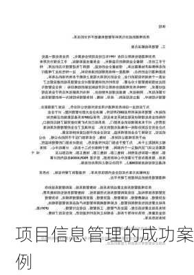 项目信息管理的成功案例
