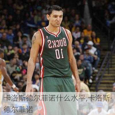 卡洛斯德尔菲诺什么水平,卡洛斯·德尔菲诺